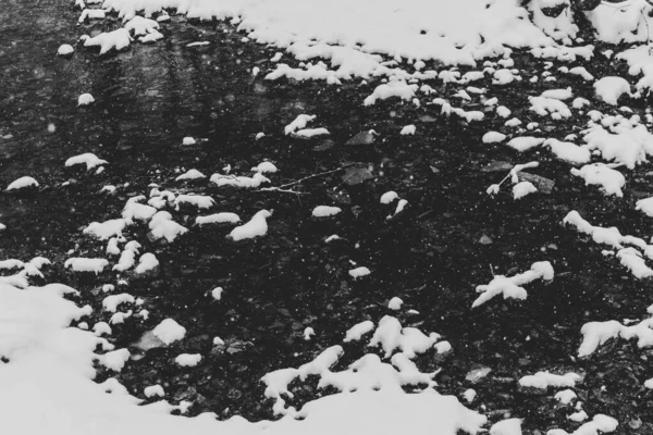 Greyscale Shot Frozen Creek Water Winter — Stock Photo, Image