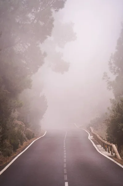 Красивый Вид Дорогу Туманный День Тенерифе Испания — стоковое фото