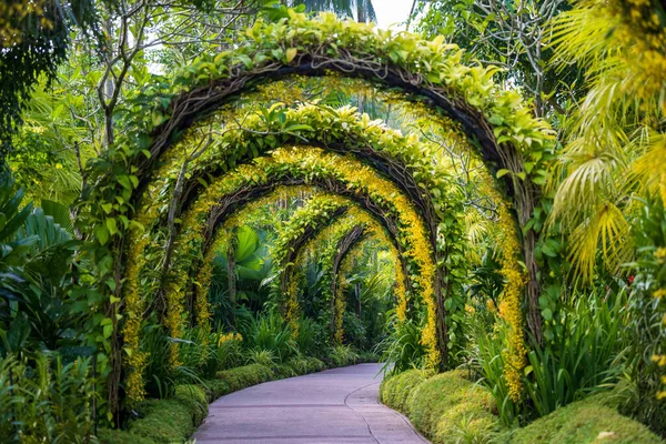 Una Hermosa Fila Arcos Verdes Con Plantas Crecimiento Los Jardines — Foto de Stock