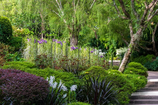 欣欣向荣的新加坡植物园美景 — 图库照片