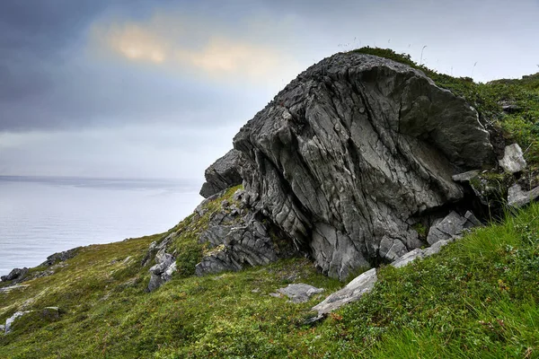 Piękna Scena Krajobrazu Wypasanym Reniferem Zielony Klif Wodzie Nordkapp Norwegia — Zdjęcie stockowe