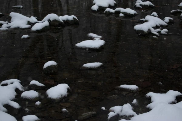 Graustufenaufnahme Eines Gefrorenen Bachwassers Winter — Stockfoto