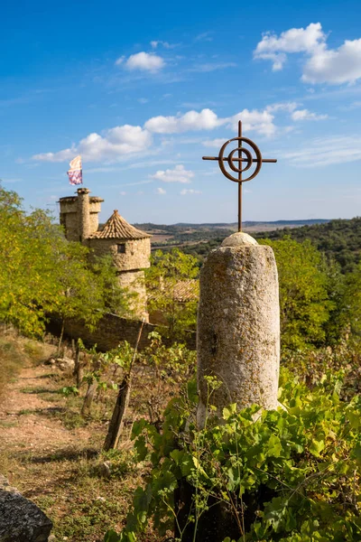 Vertikální Snímek Středověkého Města Montsonis Katalánsku Lleida — Stock fotografie