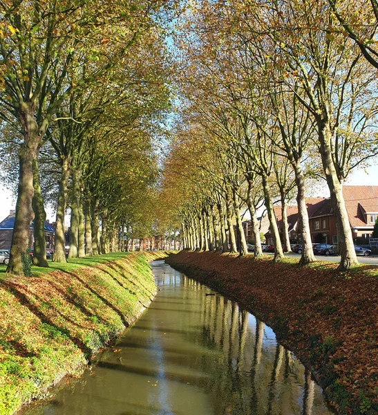 Woda Rzeczna Przepływająca Przez Rzędy Drzew Parku Ath Belgii — Zdjęcie stockowe