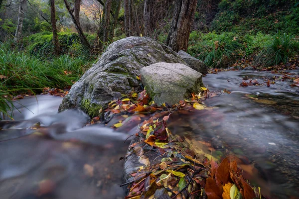 Uma Vista Das Pedras Rio Coberto Com Folhas Floresta Mediterrânea — Fotografia de Stock