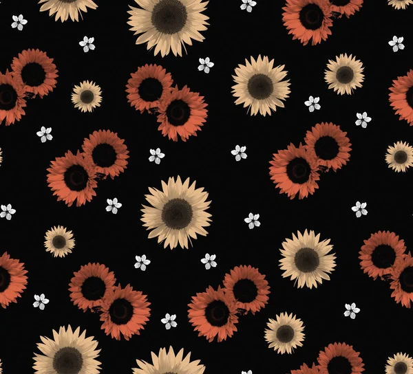 Colorful Flowers Black Background — Stock Photo, Image