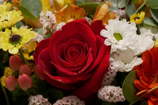 Zbliżenie Ujęcie Kolorowego Bukietu Kwiatów — Zdjęcie stockowe