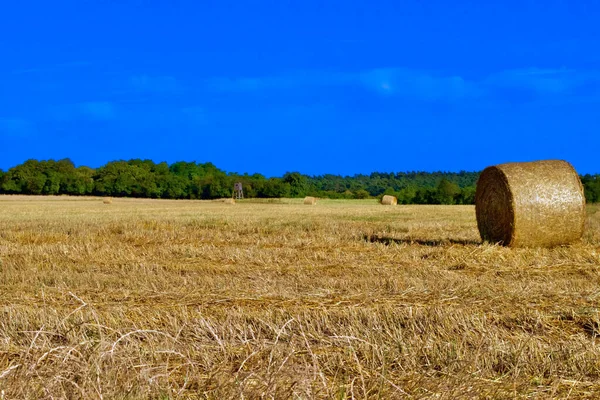 Egy Nagy Széna Tekercs Egy Vidéki Mezőn — Stock Fotó