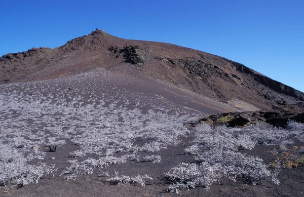 エクアドルのガラパゴス諸島火山島の山岳地帯 — ストック写真