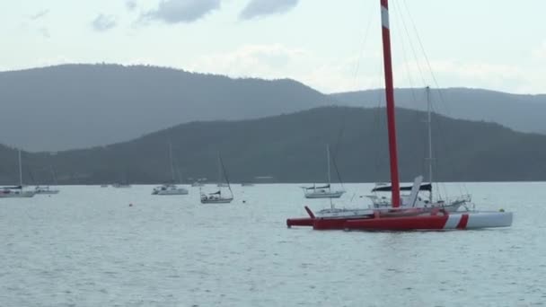 Imagens Cênicas Barcos Vela Dia Nublado — Vídeo de Stock