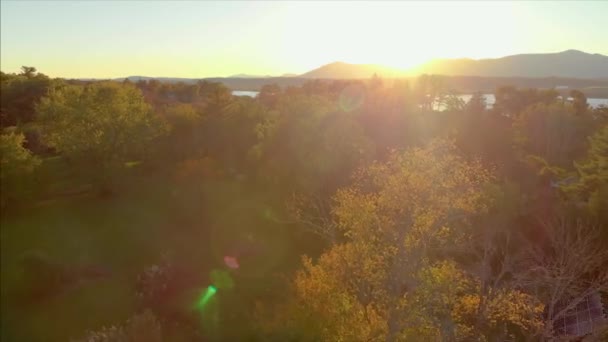 Vista Panoramica Sulla Campagna Con Alberi Autunnali Fiume — Video Stock