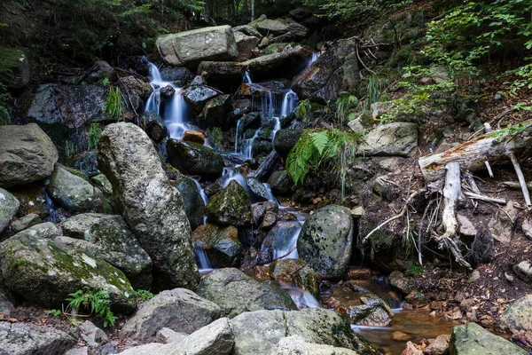 Протекающий Водопад Лес Горах Гарц Германии — стоковое фото