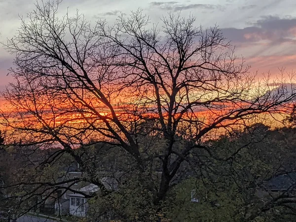 Повітряний Красивий Вид Оранжевий Захід Сонця Сміливе Дерево — стокове фото