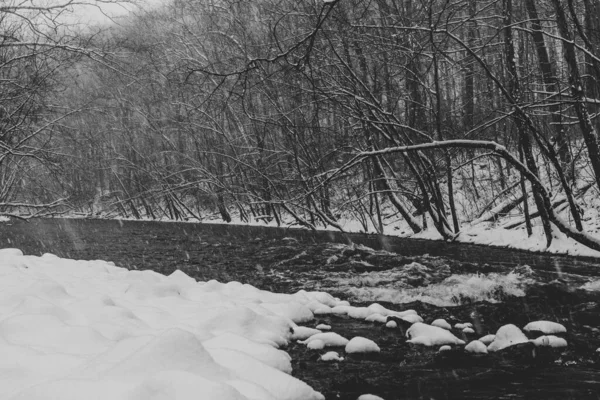 Greyscale Shot Frozen River Winter — Fotografia de Stock