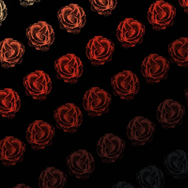 Abstract Background Lines Roses Black Background — Stockfoto