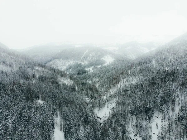 Una Vista Aérea Las Colinas Boscosas Cubiertas Nieve Winte — Foto de Stock