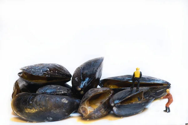 Miniature Worker Opening Mussel White Background Copy Space — Stockfoto