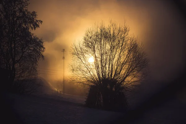 Uma Vista Panorâmica Uma Paisagem Inverno Contra Fundo Sol Brilhante — Fotografia de Stock