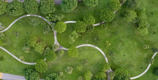Krásný Letecký Výhled Travnatou Pastvinu Zelenými Stromy Zahradní Ploše — Stock fotografie