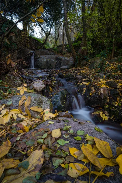 Tiro Vertical Uma Pequena Cachoeira Floresta Mediterrânea Outono Figaro Catalunha — Fotografia de Stock