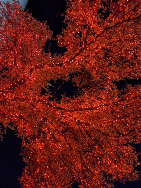 Low Angle Shot Tree Decorated Red Led Lights Christmas — Stock Photo, Image