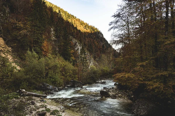 Avusturya Güzel Bir Dağ Manzarası — Stok fotoğraf