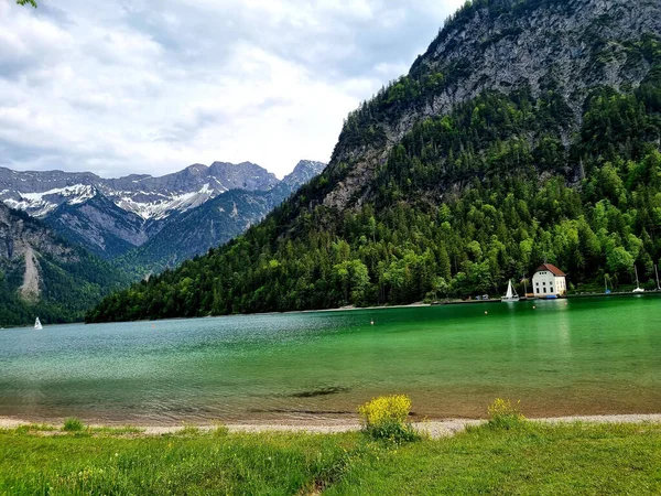 Magnifique Plan Lac Plansee Autriche — Photo