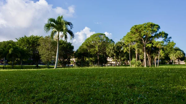 Bellissimo Parco Verde Nella Città Fort Lauderdale Florida — Foto Stock