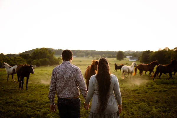 Back View Couple Holding Hands Looking Horses Pasture — Stock Photo, Image