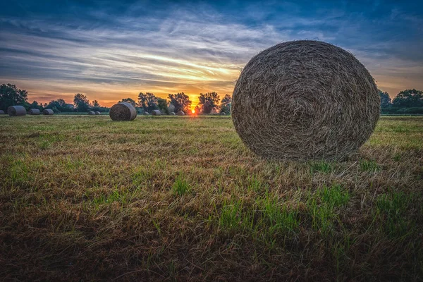 수확기에 작센에서 뭉치의 아름다운 — 스톡 사진