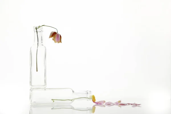 Pintoresco Plano Una Botella Vidrio Con Flores Aisladas Sobre Fondo —  Fotos de Stock