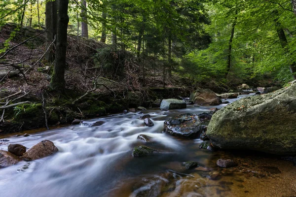 Uma Bela Vista Rio Rochoso Fluindo Floresta Alemanha — Fotografia de Stock