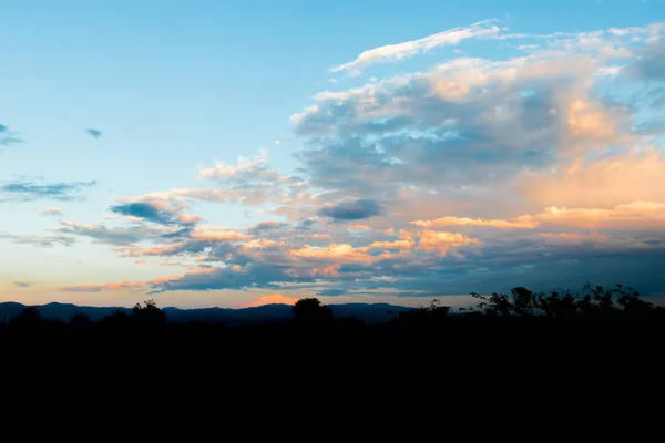 Piękna Sceneria Drzew Pod Zachmurzonym Niebem Podczas Zachodu Słońca — Zdjęcie stockowe