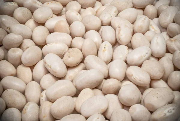 Macro Shot White Beans Full Frame Food Background Healthy Eating — Stockfoto