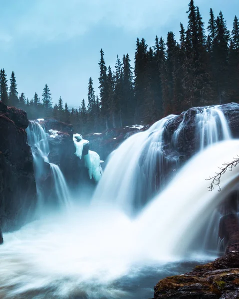 Vertical Scenic View Waterfall Stream Motion Pine Forest — Fotografia de Stock