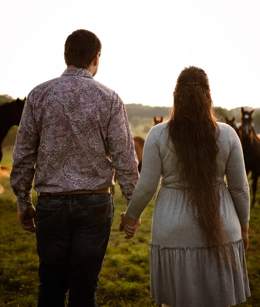 Vertical Back View Couple Holding Hands Looking Horses Pasture — Fotografia de Stock