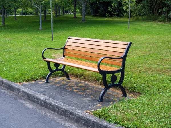 Dřevěná Lavička Černým Kovovým Litinovým Rámem Parku — Stock fotografie