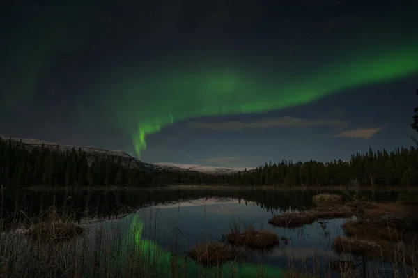 Priveliște Frumoasă Luminii Aurorei Cerul Nopții Din Norvegia — Fotografie, imagine de stoc