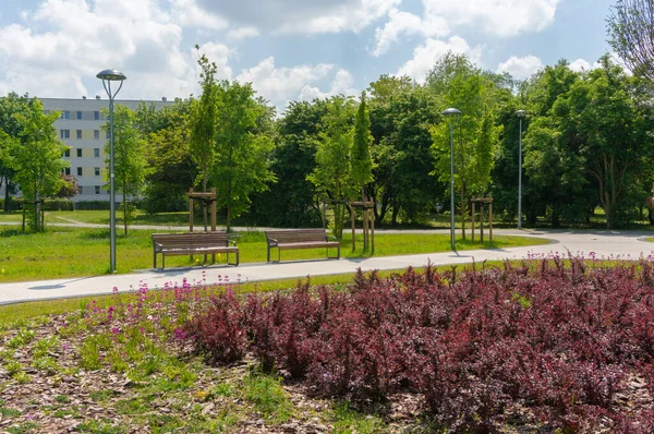 Poznan Polonia Mayo 2019 Sendero Largo Hierba Verde Arbustos Parque — Foto de Stock