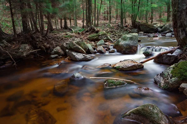 Krásná Scenérie Vody Stromů Pohoří Harz Sasko Anhaltsko Německo — Stock fotografie