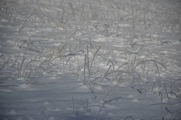Schładzający Widok Pokryte Śniegiem Pole Wsi — Zdjęcie stockowe