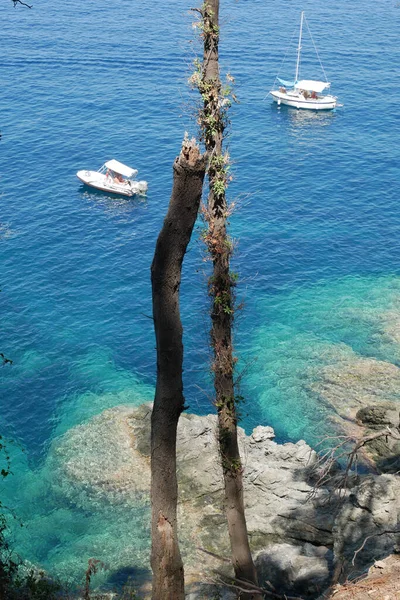 Eine Vertikale Aufnahme Von Booten Die Ozean Segeln — Stockfoto