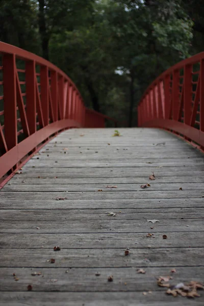 Una Hermosa Toma Puente Que Cruza Bosque — Foto de Stock