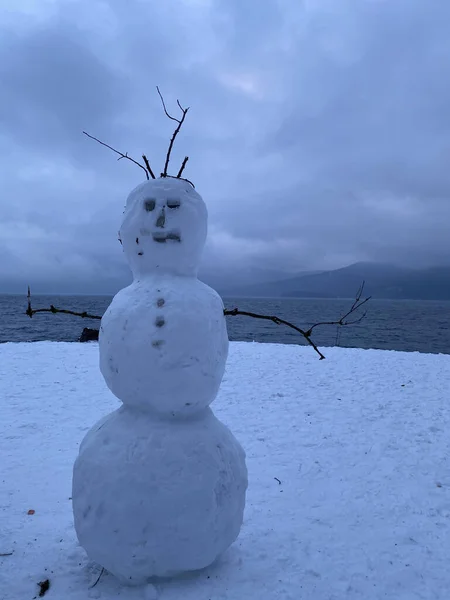 冬の曇りの空に対して海の海岸に雪だるまの垂直ショット — ストック写真