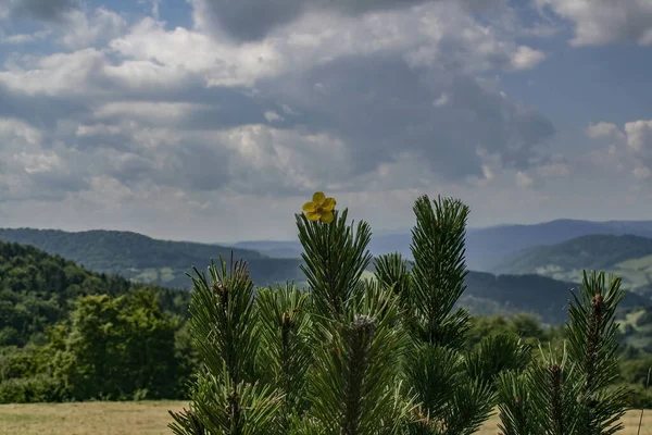 Breathtaking Shot Landscape Clear Skies Day — Stockfoto