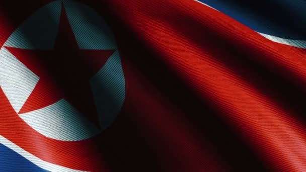 Mávání Vlajky Severokorejského Animačního Záznamu Pro Vfx Nebo Pozadí — Stock video