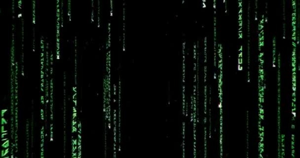 Green Matrix Signs Dark Background — Stock Video