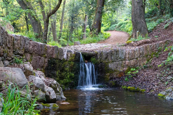 View Small Waterfall Mediterranean Forest Autumn Figaro Catalonia — Stock Photo, Image