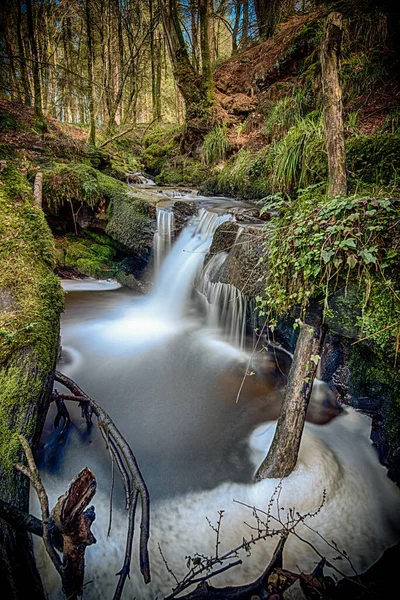 Eine Vertikale Aufnahme Eines Wasserfalls Wald — Stockfoto