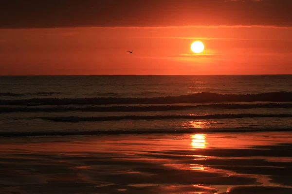 Eine Schöne Aufnahme Eines Meeres Bei Sonnenuntergang — Stockfoto